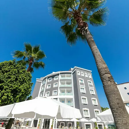 Motto Premium 4*